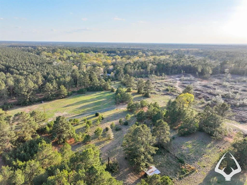 Photo of 850 County Road 4390