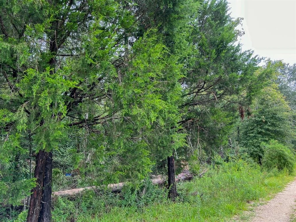Photo of 0 Us Highway 96
