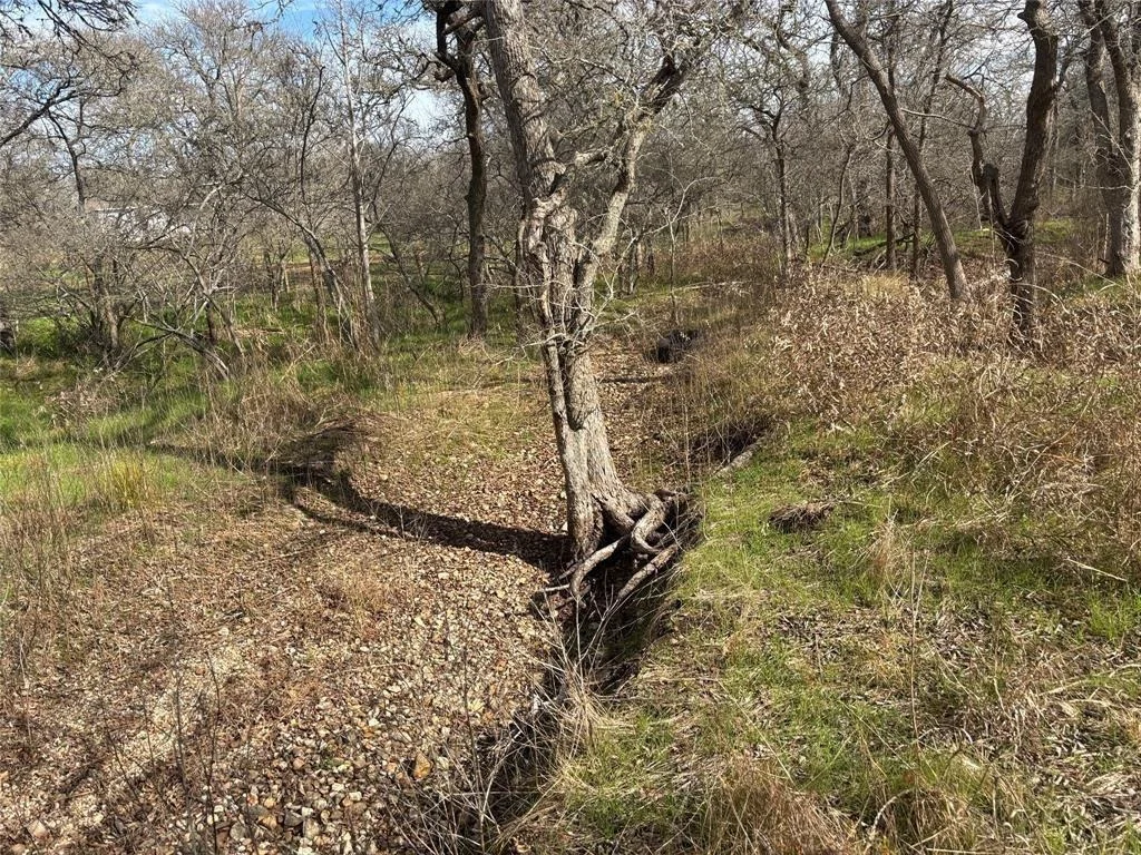 Photo of 245 Elm Forest Loop