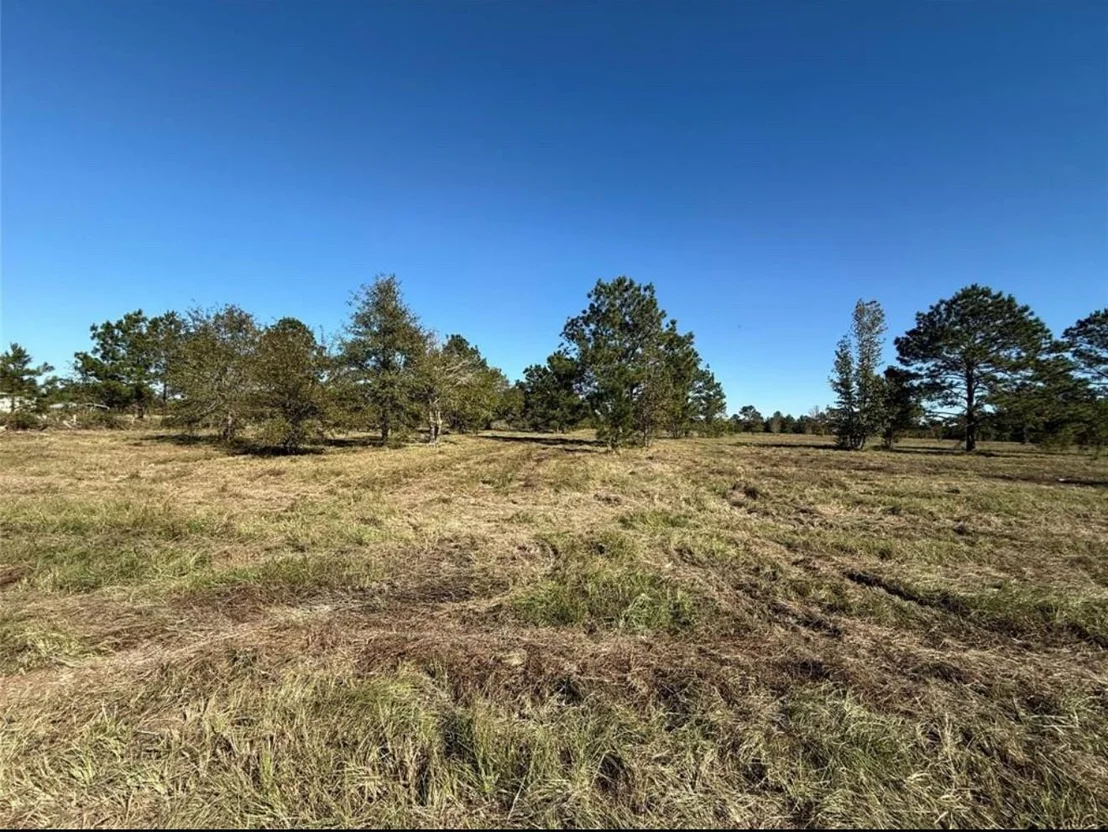 Photo of TBD Tract 11 County Road 3011