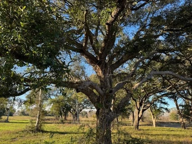 Photo of 7302 Cemetery Road