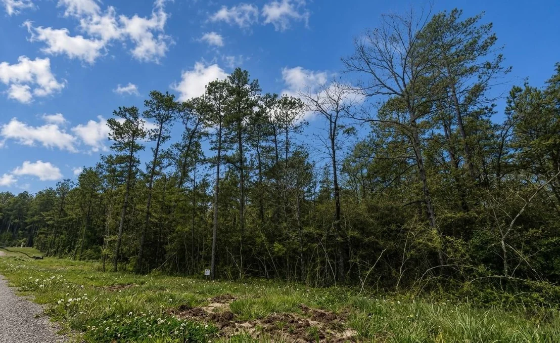 Photo of 15633 Ridge Rock Road