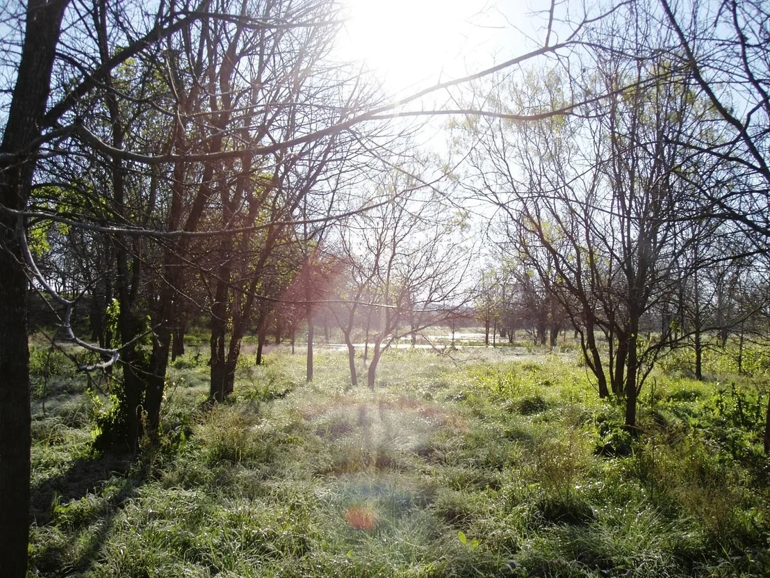 Photo of 11913 Mcangus Road