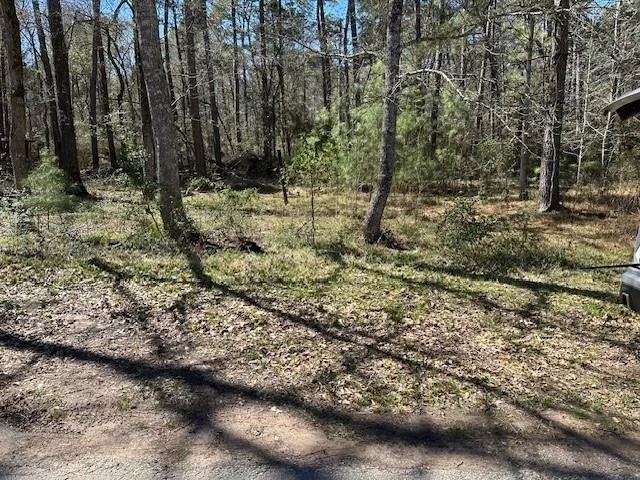 Photo of 15819 Forest Drive