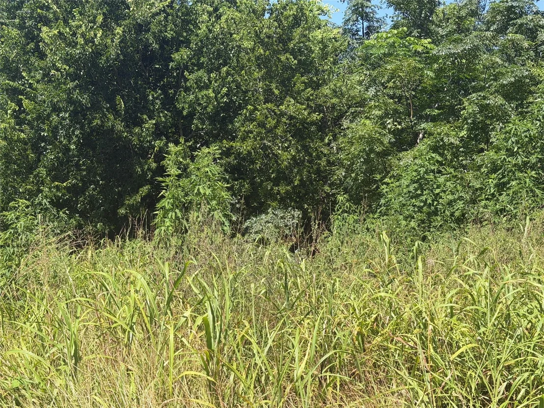 Photo of 4941 State Highway 172