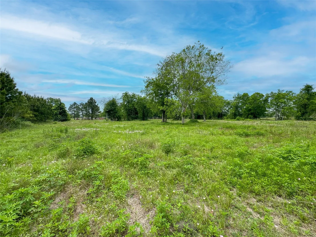 Photo of 2231 County Road 796