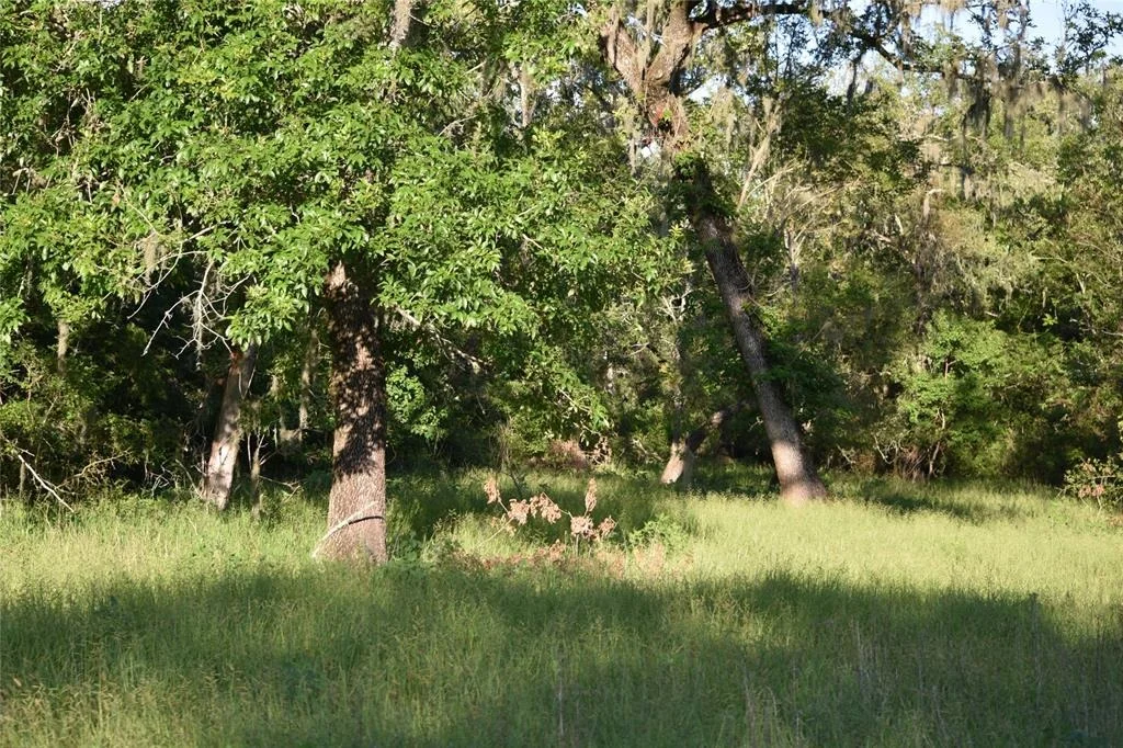 Photo of 5300 U-Pond Drive/County Road 611