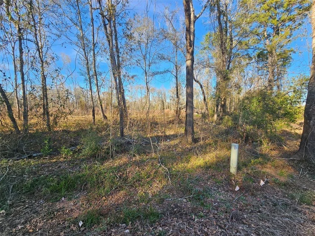 Photo of 84 Sherwood Drive