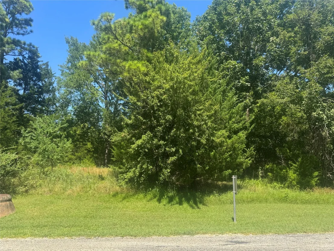 Photo of TBD N Forest Cove Loop