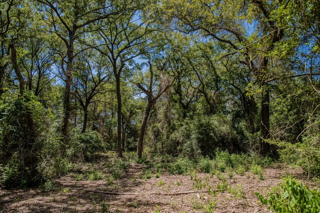 Photo of 1972 County Road 324