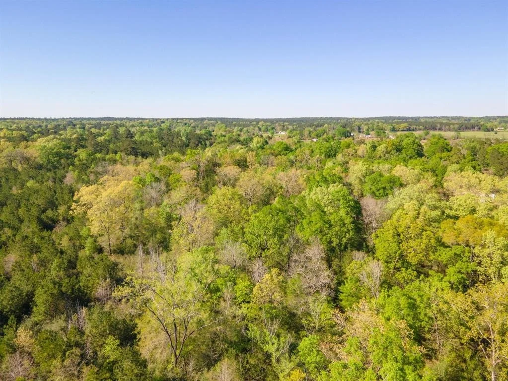 Photo of TBD 2 Robert Jones Rd