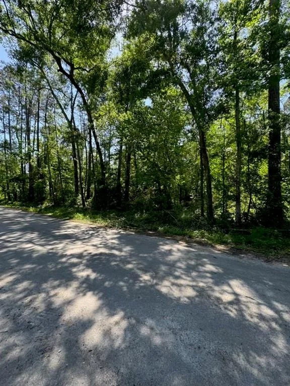 Photo of 146 County Road 3475