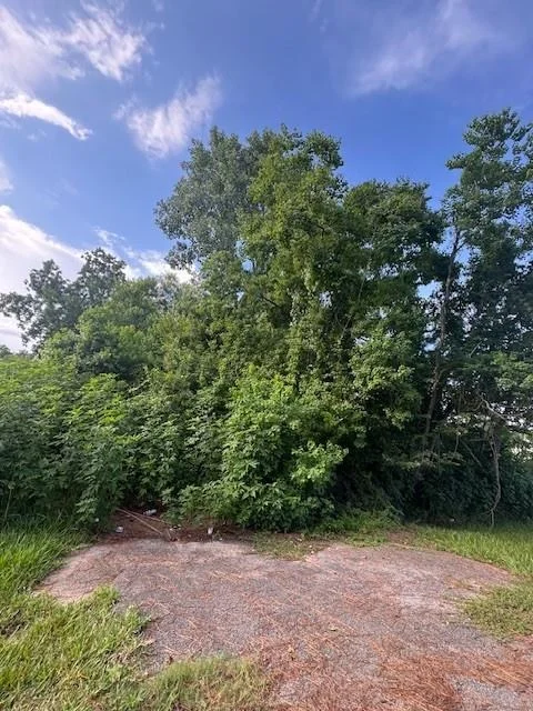 Photo of 140 Tall Cedars Drive