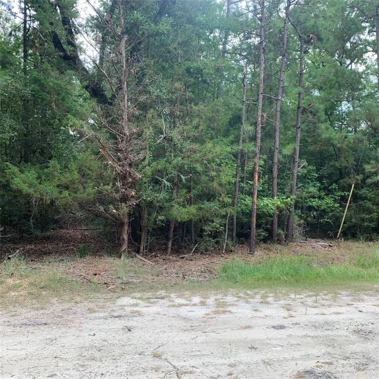 Photo of TBD Post Oak Ct