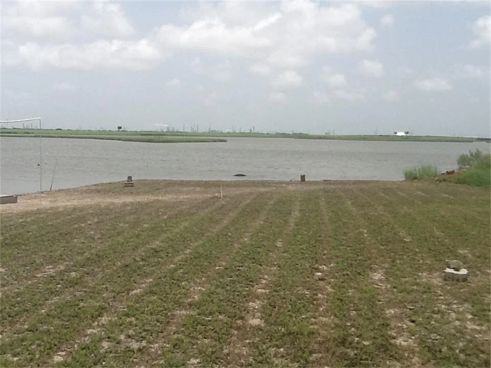 Photo of 4612 Warren Lot 3