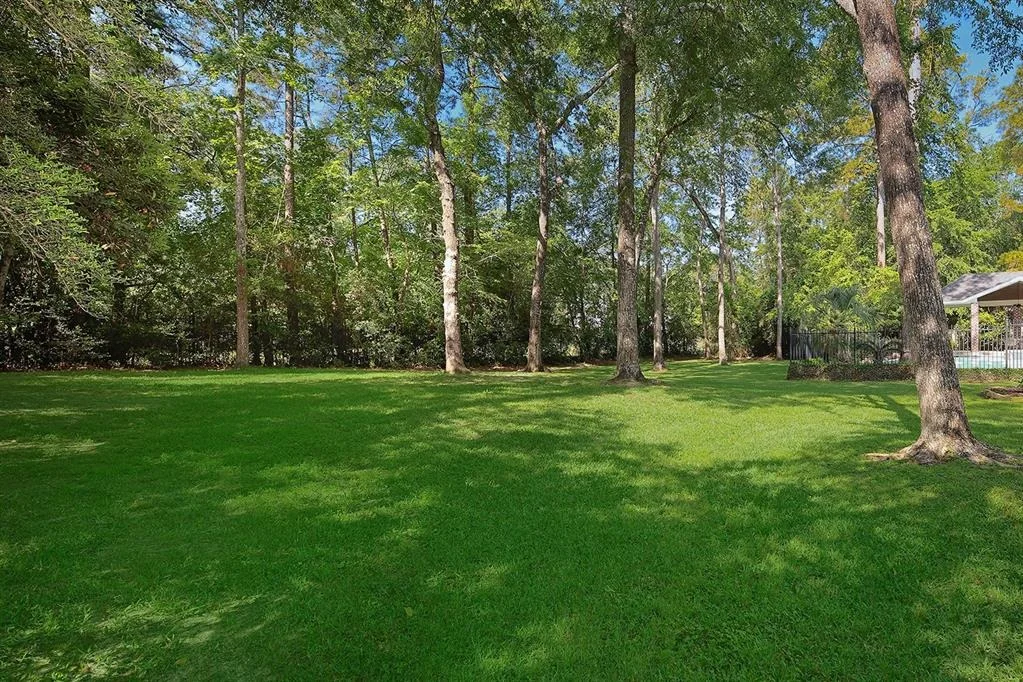 Photo of 10 Red Sable Point