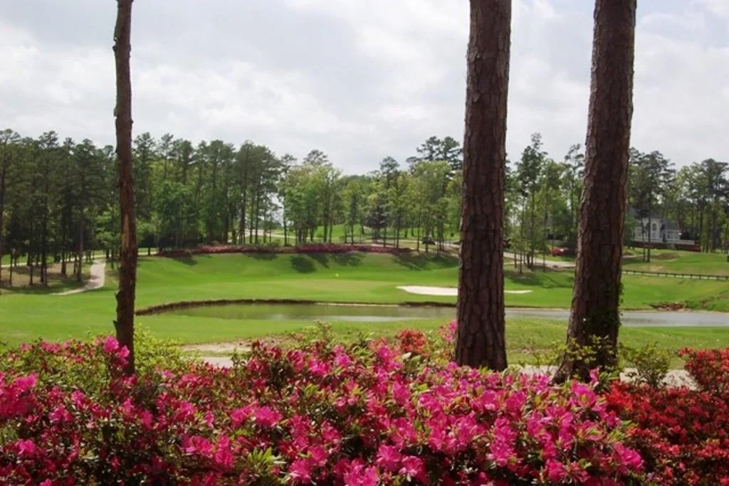Photo of 105 Azalea Trail