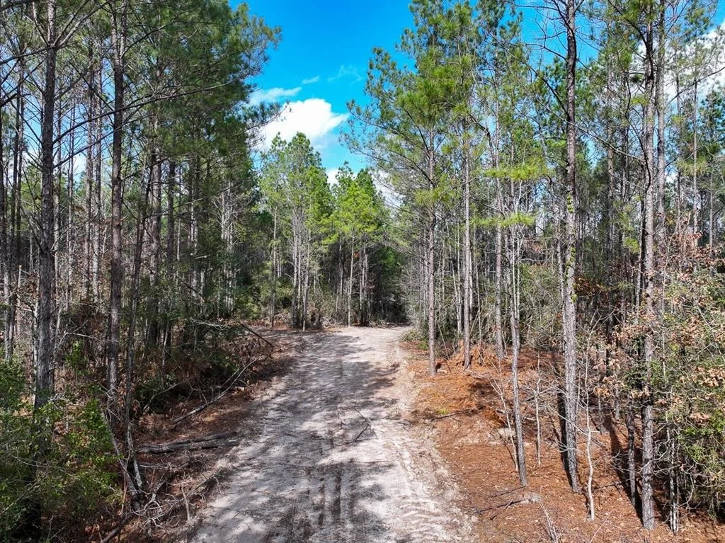 Photo of TBD Off Fm 355