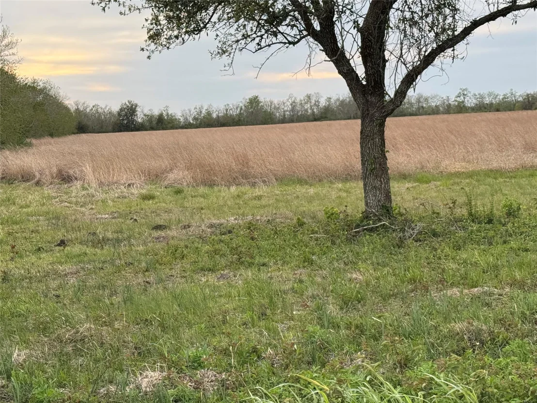 Photo of 02 County Road 46