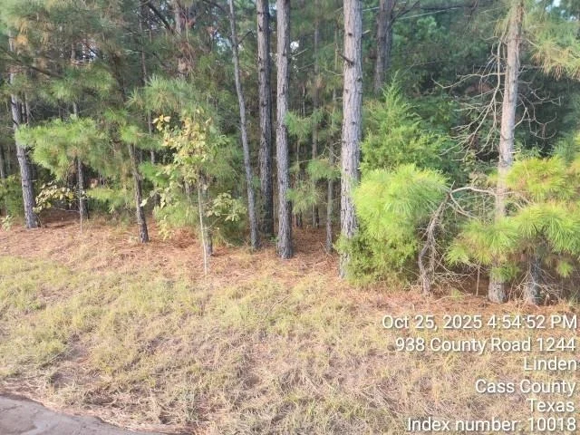 Photo of 938 County Road 1244 Road
