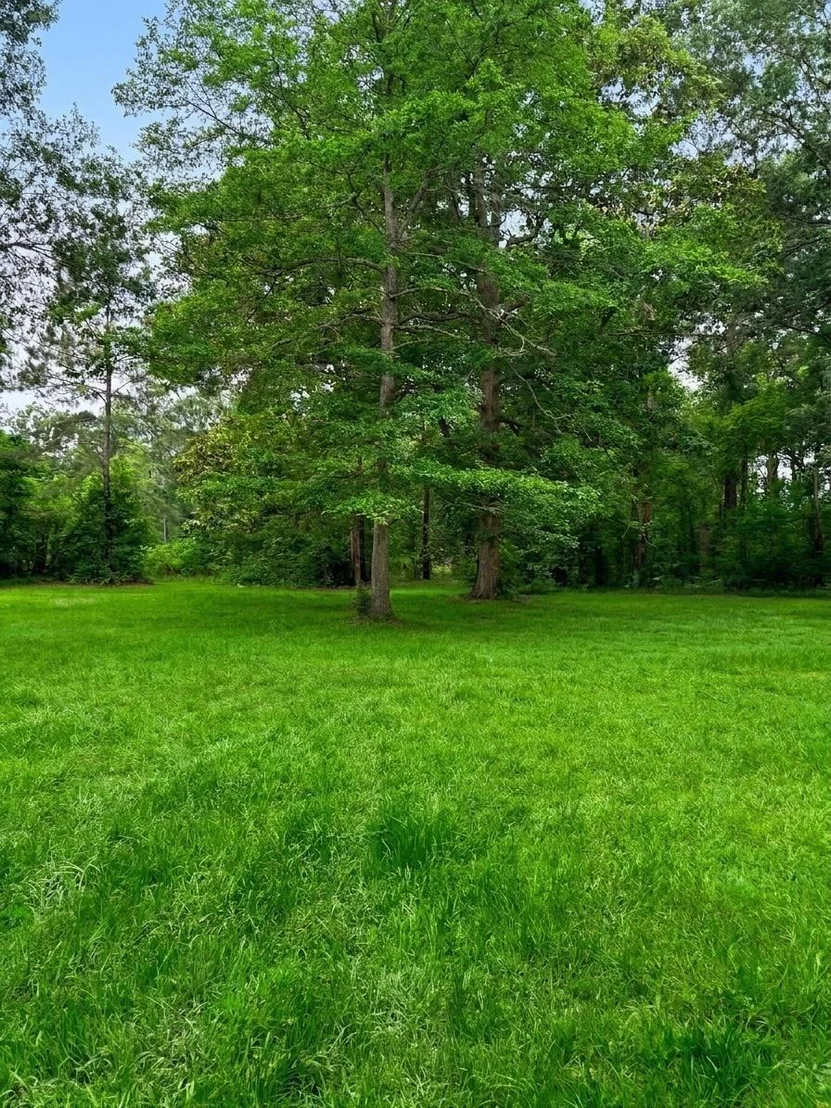 Photo of 189 County Road 2223