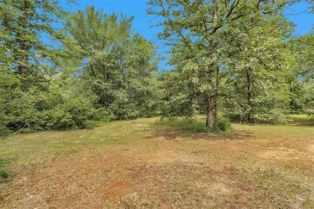 Photo of 18721 Dalton Willis Drive