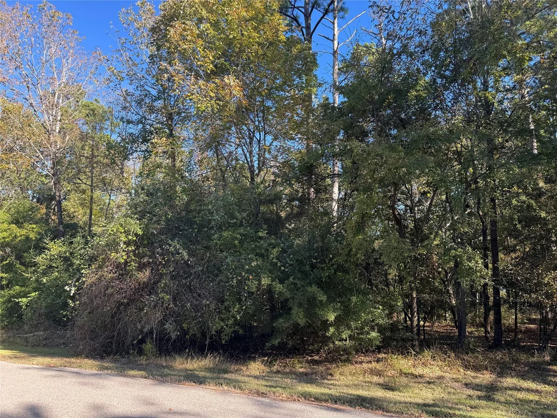 Photo of 54 N Fairway Loop
