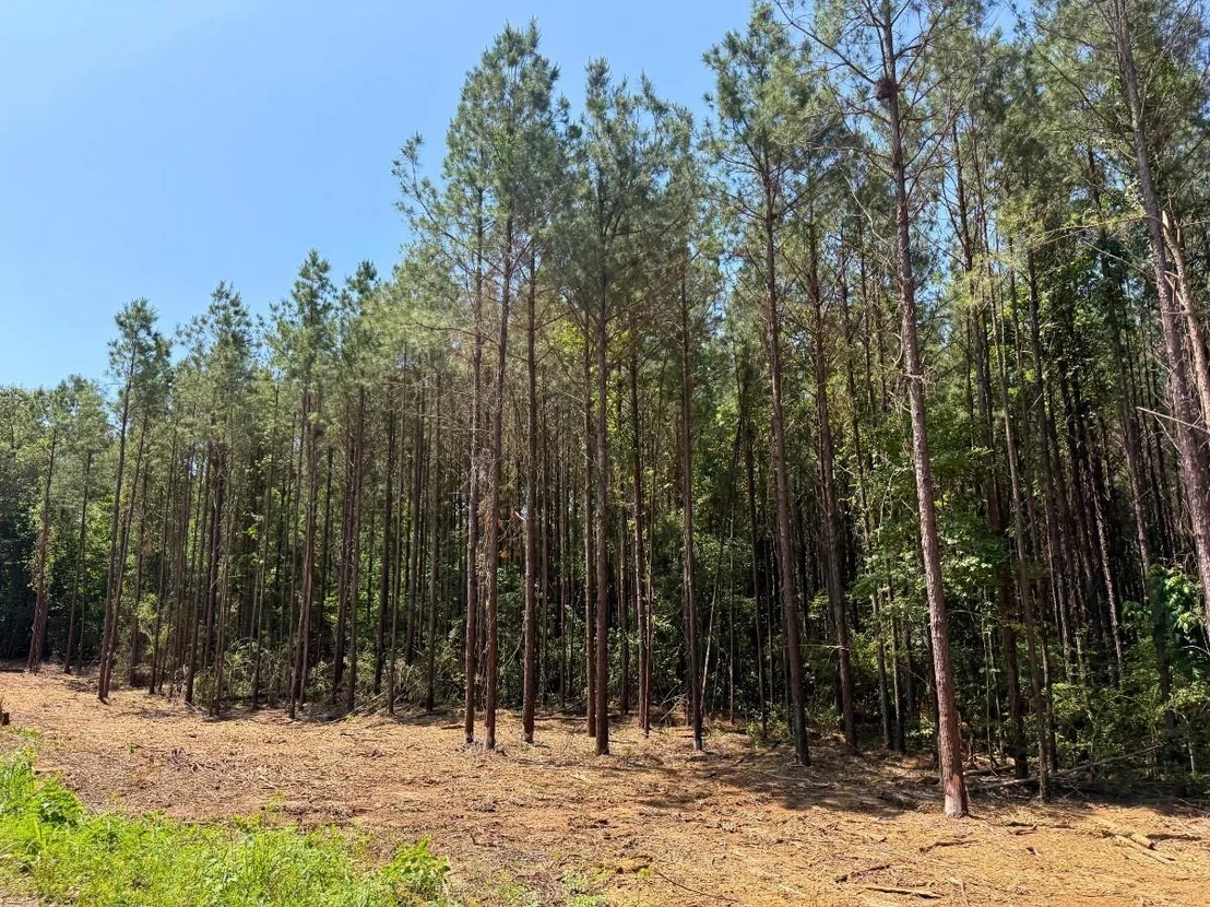Photo of 4 Camp Ruby Road