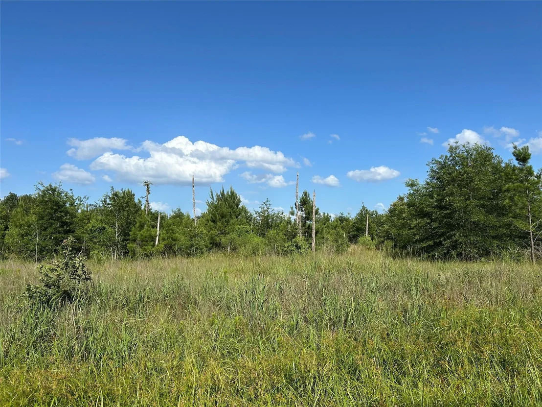 Photo of Tract 35 Fm 230