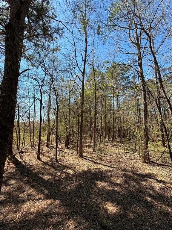 Photo of TBD Boards Ferry Rd