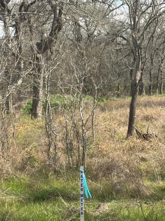 Photo of 245 Elm Forest Loop