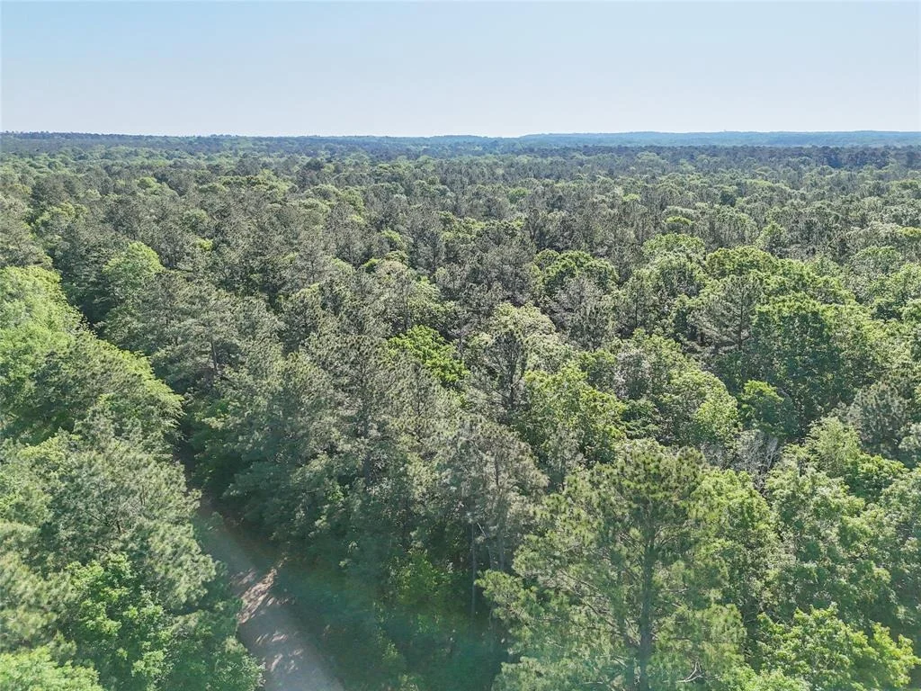 Photo of 000 Trail Ride Road
