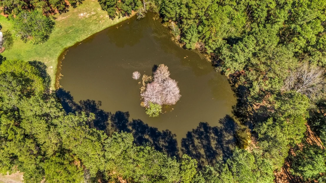 Photo of 14419 Timbergreen Drive