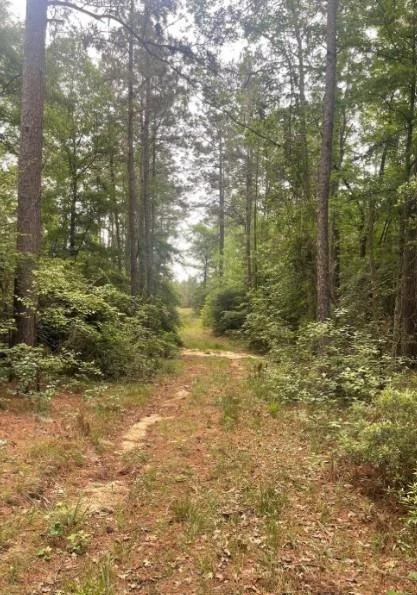Photo of 11544 Inspiration Drive
