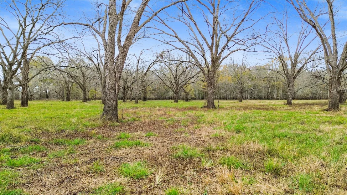 Photo of TBD Pr 1350