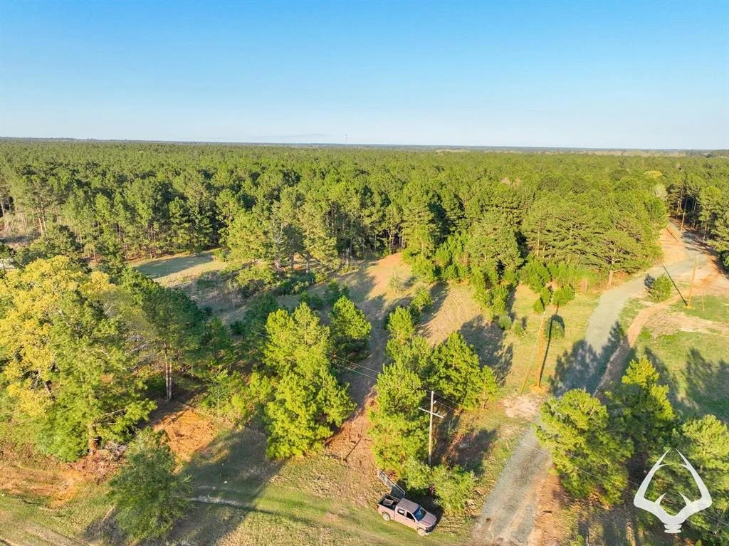 Photo of 850 County Road 4390