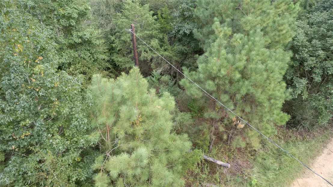 Photo of 770 County Rd 1675