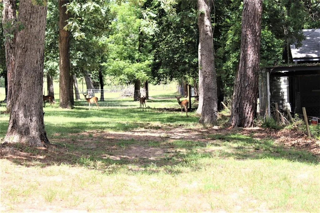 Photo of 145 Crossed Arrows