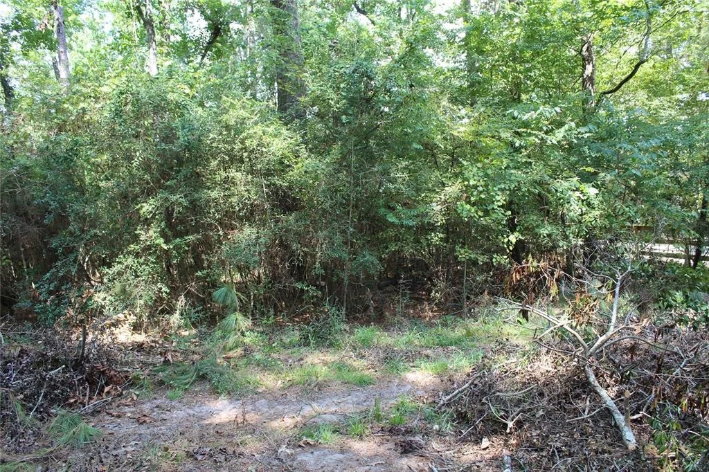 Photo of 1901 Lakeview Estates Drive
