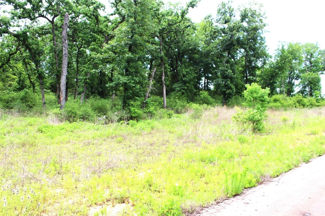 Photo of Tract 174 Pr 1311