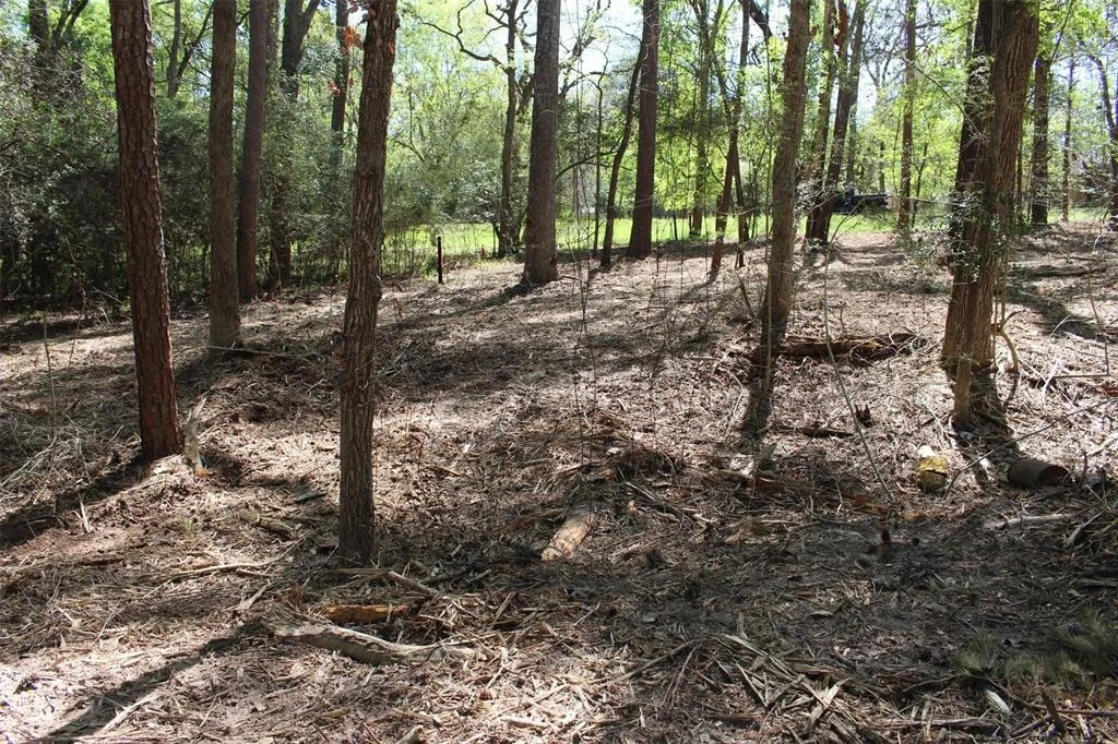 Photo of 145 Crossed Arrows