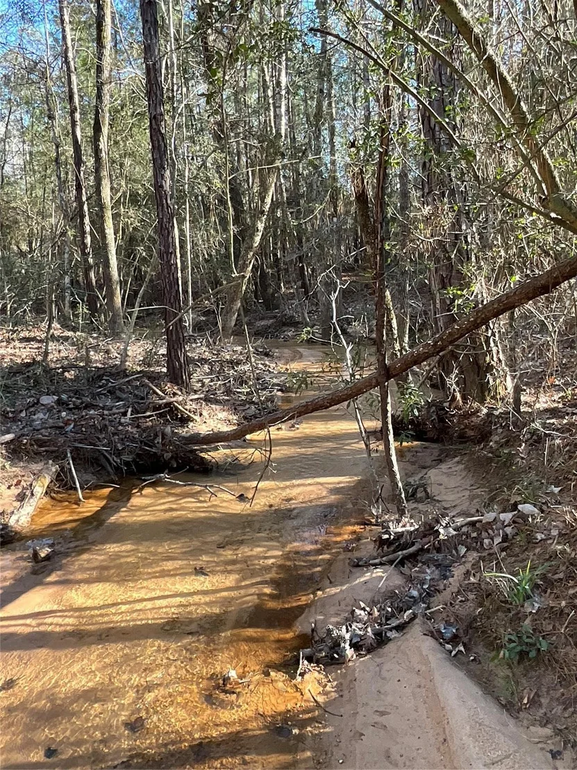 Photo of 175 Exploration Road