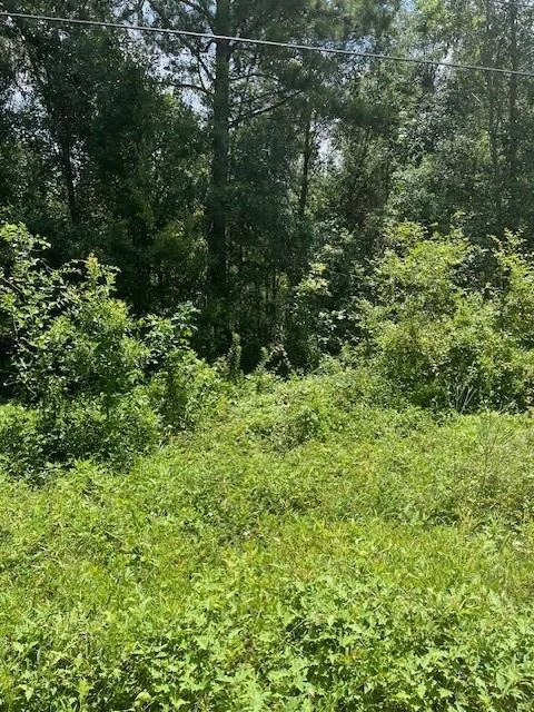 Photo of 13994 Walker Road