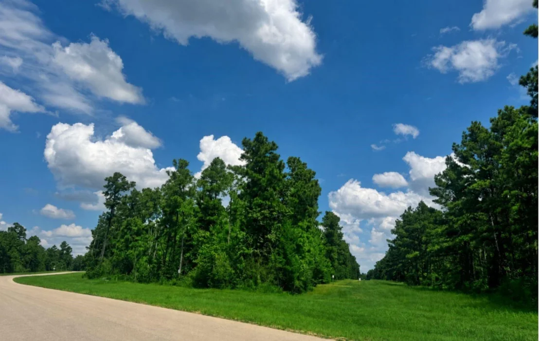 Photo of 15780 Wooded Trail Way