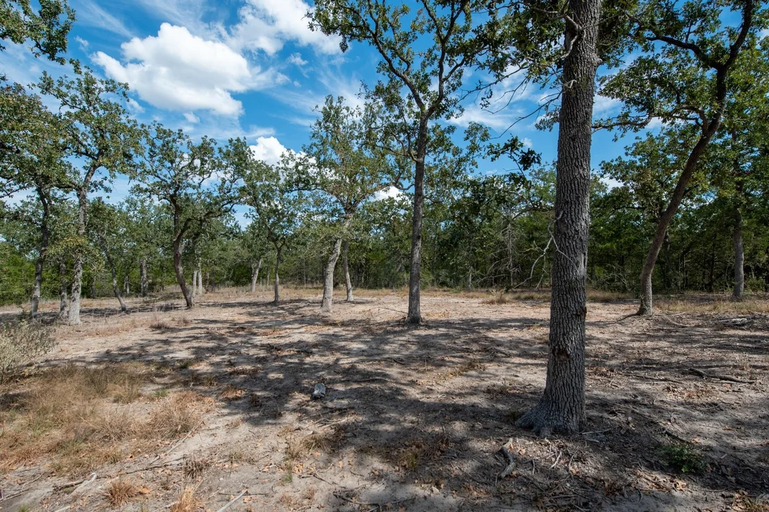 Photo of Lots 211 & 212 Forest Oak Drive