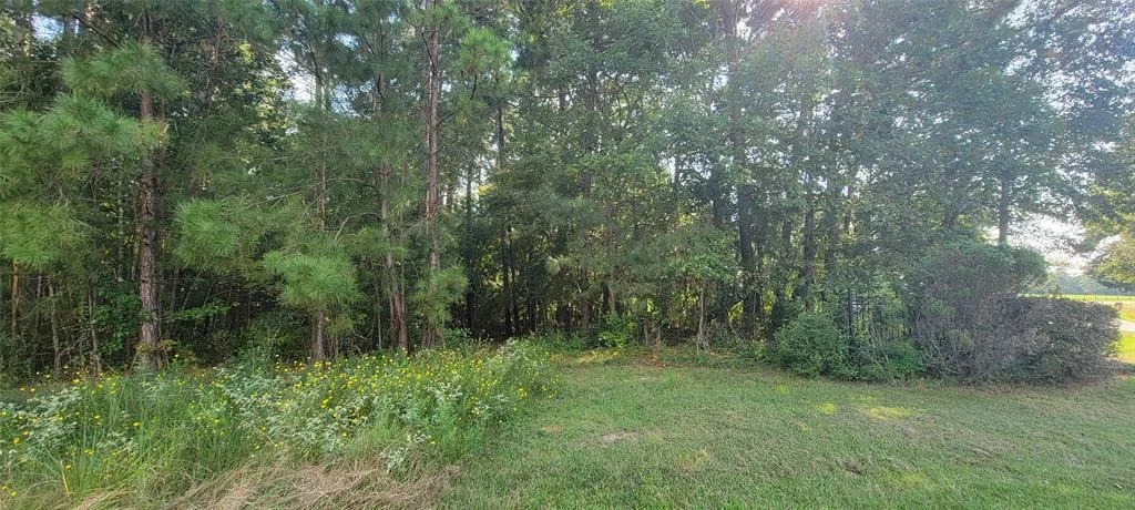 Photo of 11800 Park Slope Drive