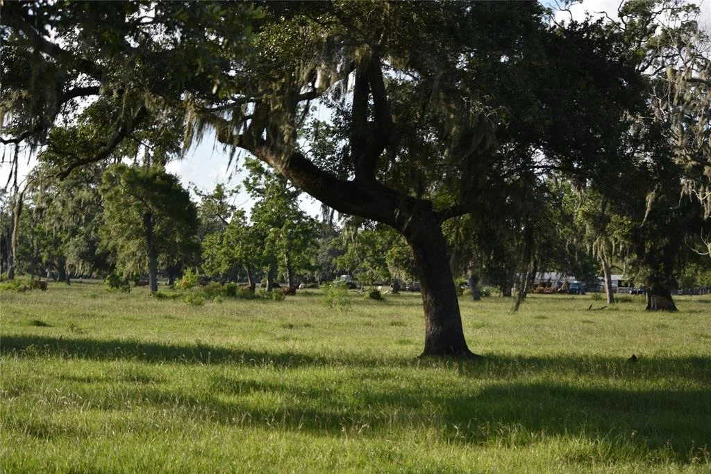 Photo of 5300 U-Pond Drive/County Road 611