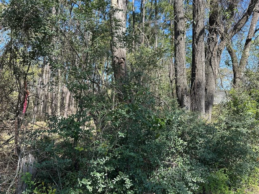 Photo of 518 Old Magnolia Road
