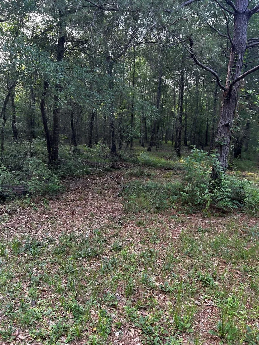 Photo of 0 County Line Road