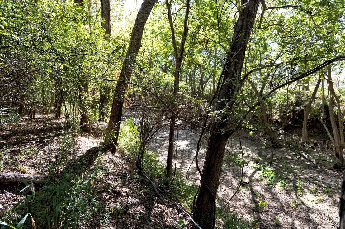 Photo of 202 County Road 142b